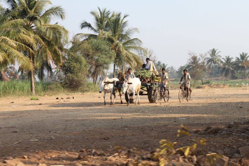 A scene from rural India.